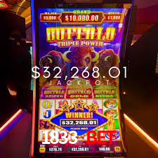 Cadastro rápido e seguro na 1833 bet